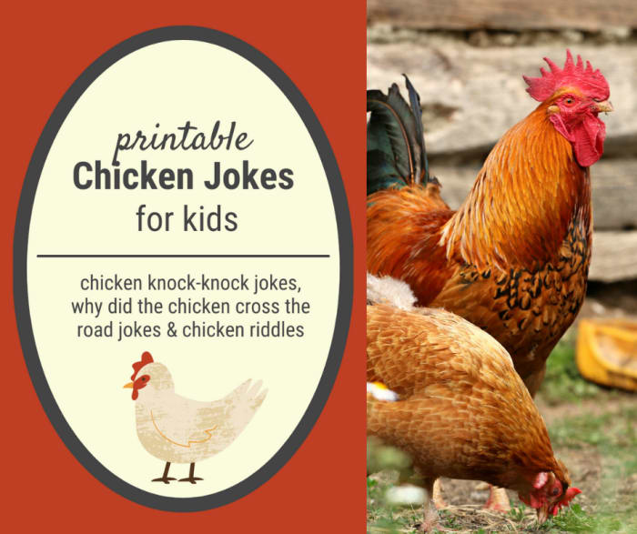 chicken jokes for kids